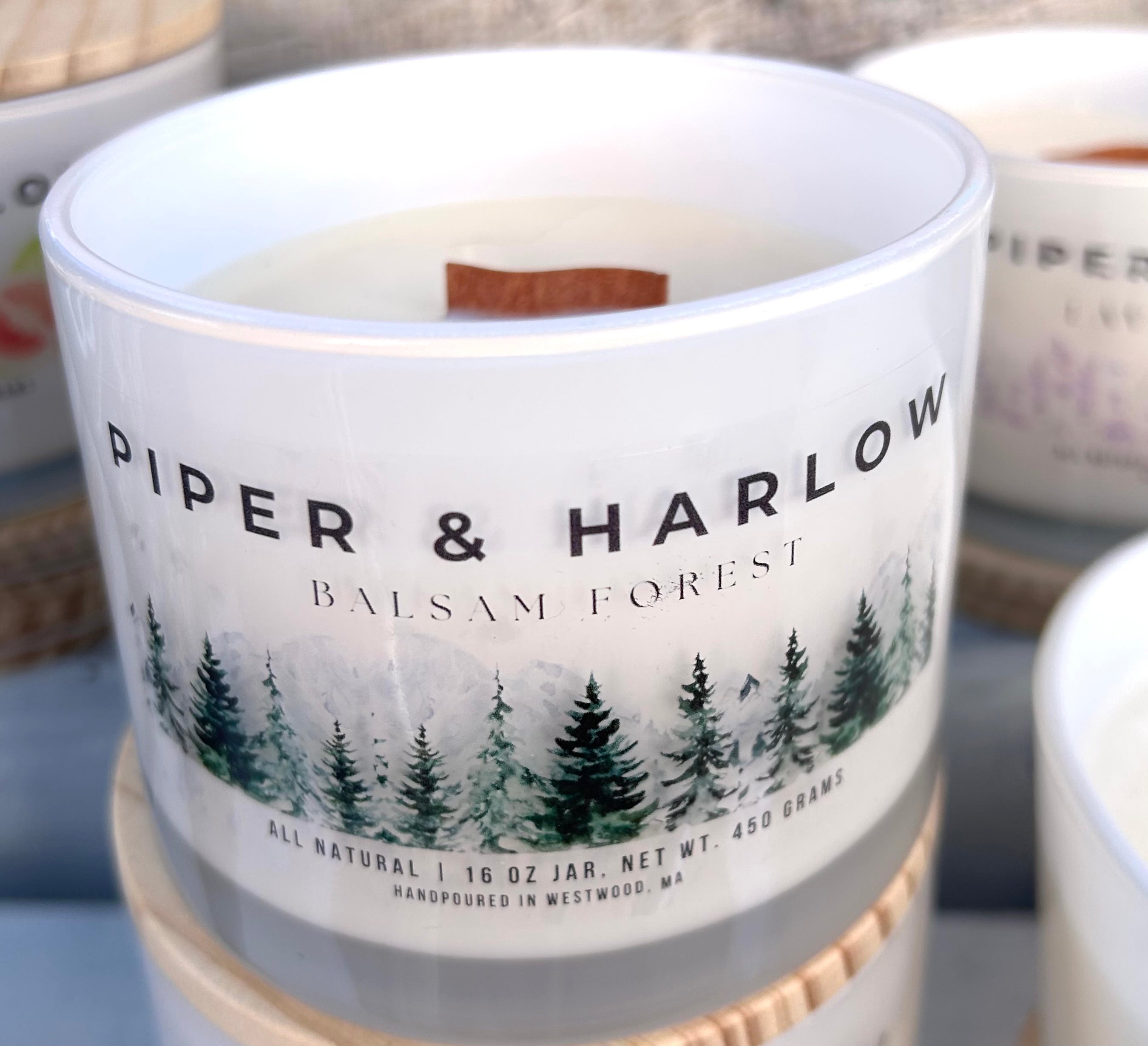 Balsam Forest large soy candle with s-wick